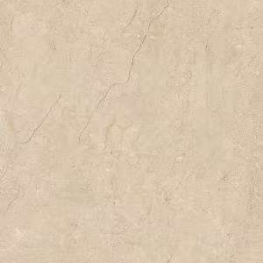 Porcelain tile